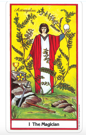 The Herbal Tarot Deck | Yarrow