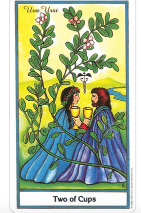 The Herbal Tarot Deck | Yarrow